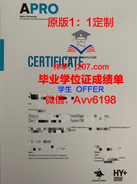 阿尔托大学成绩单(阿尔托大学奖学金)