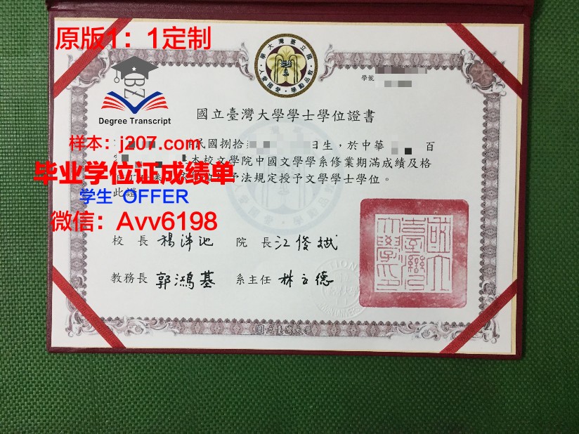 阿尔泰国立大学毕业证书图片高清(阿尔泰国立大学申请条件)