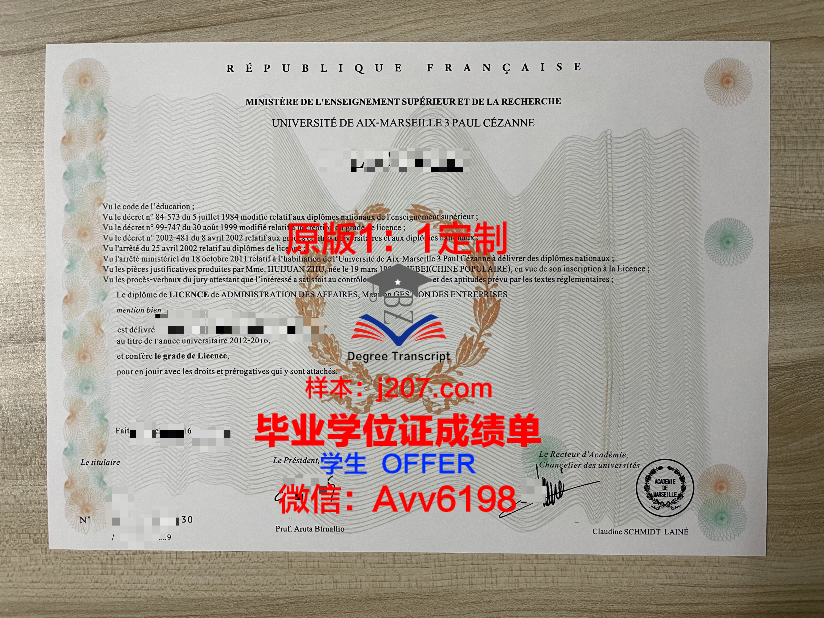 马赛国立高等建筑学院毕业证书模板(马赛大学官网)