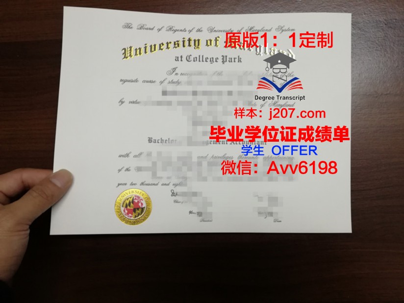 马里兰大学巴尔迪默分校毕业文凭