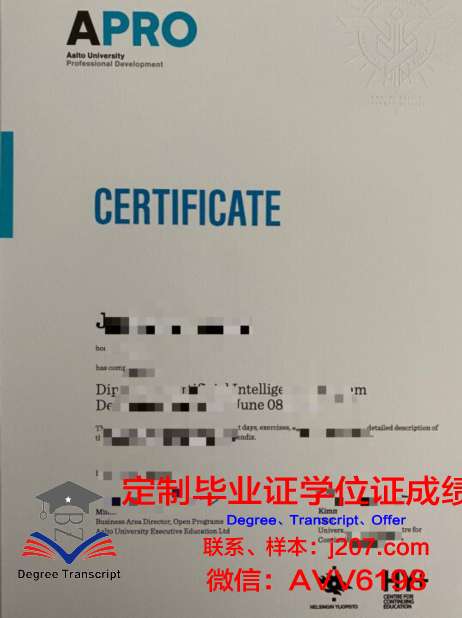 阿尔托成绩单：一份揭示教育本质的启示录
