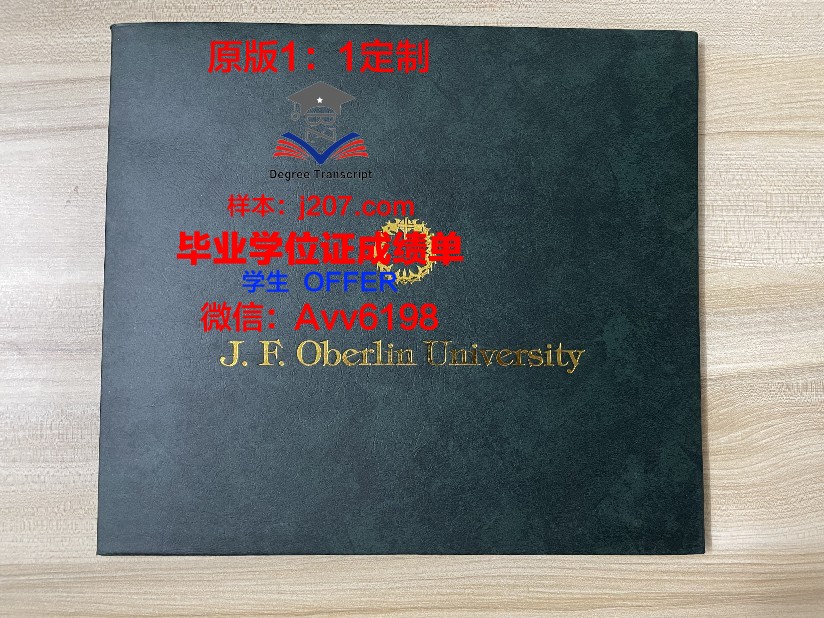 美因茨大学毕业证书图片大全(美因茨大学在哪个城市)