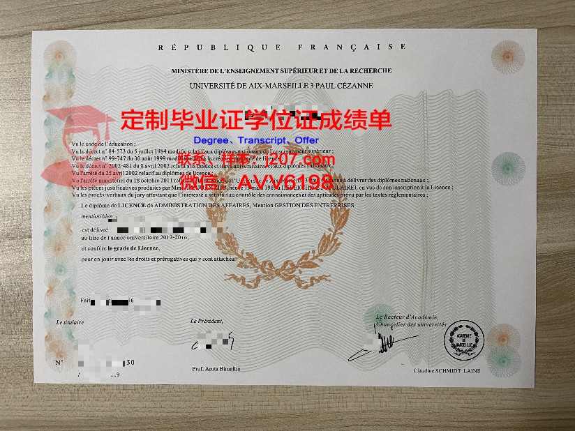 马赛中央理工学院拿不了毕业证(法国马赛中央理工大学排名)
