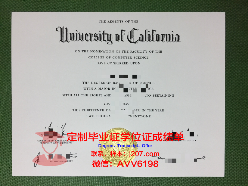 美因茨大学毕业证Diploma文凭成绩单