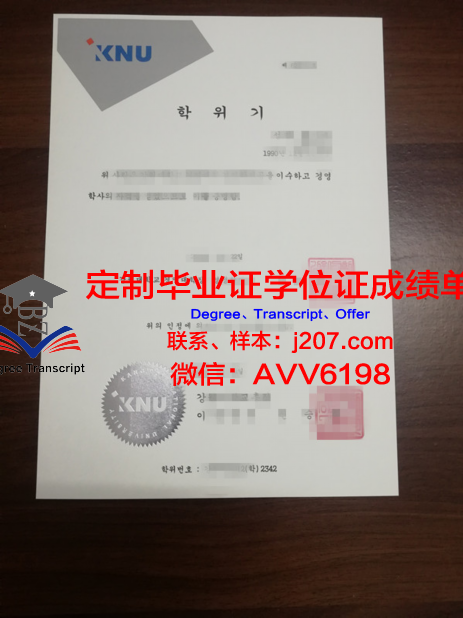 阿克伦大学（护理学院）毕业证图片University of Akron (College of Nursing) Diploma