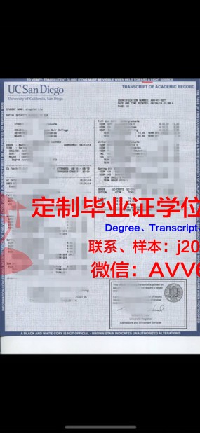 罗涅大成绩单：记录成长足迹，见证辉煌历程