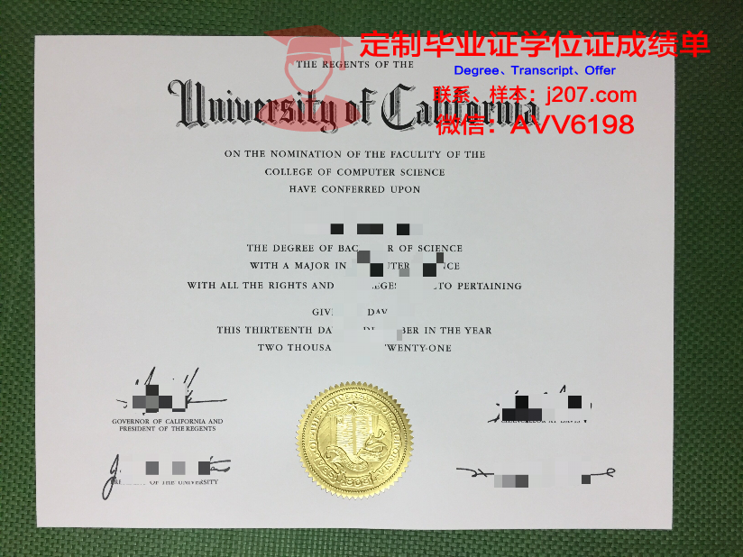 沃尔什会计与工商管理学院毕业证照片(沃尔大学集锦)