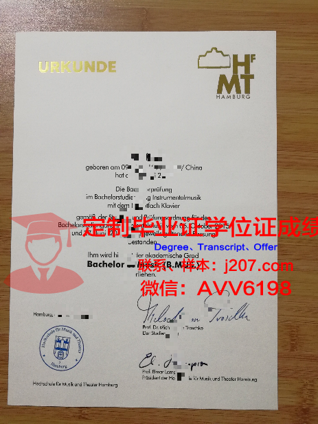 汉堡大学的毕业证啥样(汉堡大学入学条件)