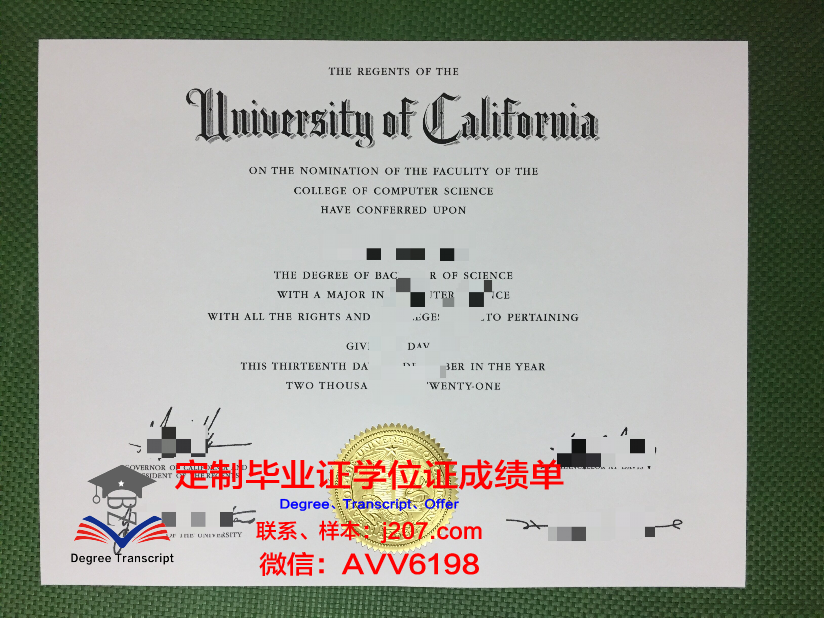 江陵岭东大学毕业证好找工作吗(江陵岭东大学毕业证好找工作吗多少钱)