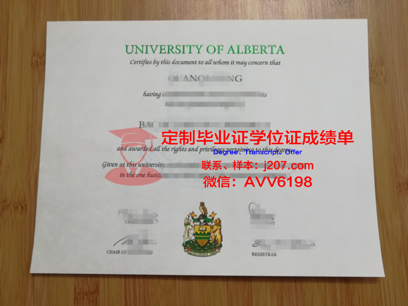 阿尔松别墅尼斯国立高等艺术学院文凭