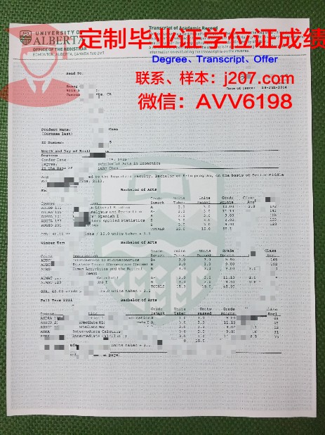阿尔松别墅尼斯国立高等艺术学院文凭