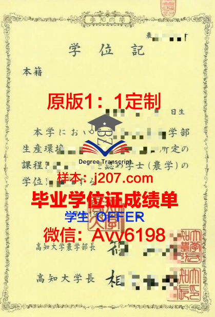 高知大学博士学位证:一份承载知识与荣耀的证书