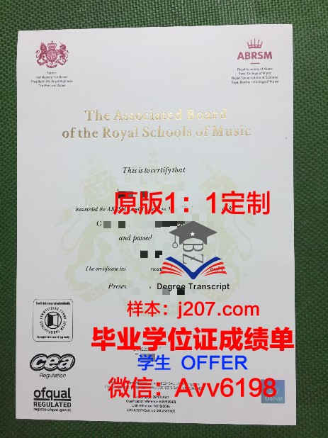 罗斯托夫国立大学毕业证模板(罗斯托夫国立音乐学院官网)