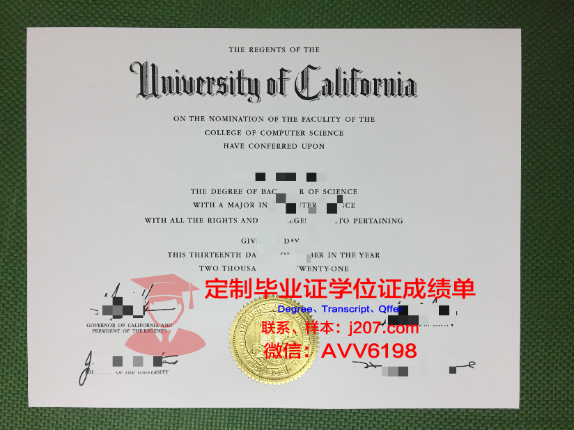 美因茨大学研究生毕业证(美因茨大学研究生毕业证图片)