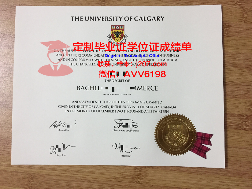 沙希德佐勒菲卡尔·阿里·布托科技学院毕业证书
