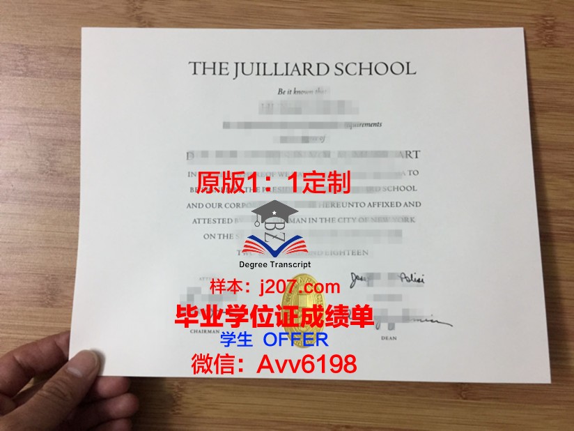 罗维戈音乐学院毕业证长什么样(罗维钢琴)