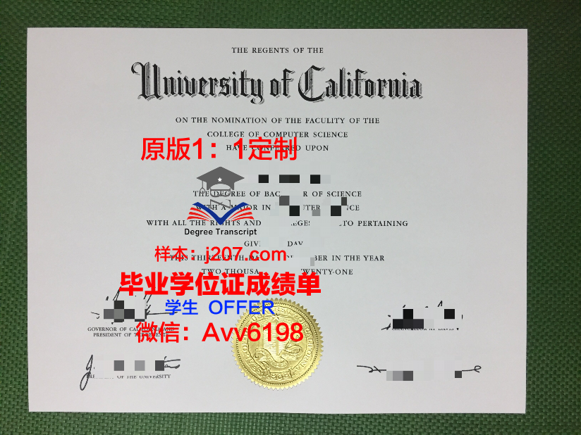 高中毕业证书上的成绩单(高中毕业证书上的成绩单是什么)
