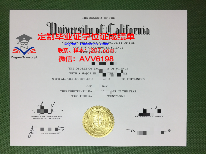 沃西本恩大学毕业证是什么样子