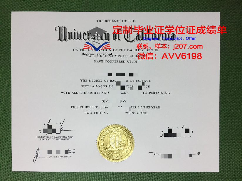 沙东工作室本科毕业证：承载青春回忆的珍贵证书