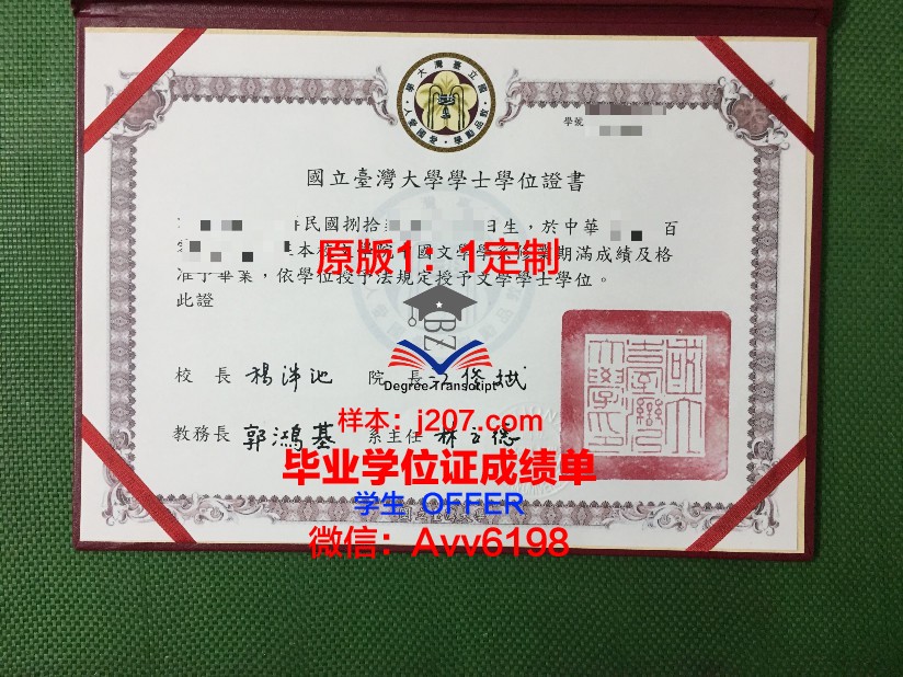 沃罗涅日国立艺术学院研究生毕业证(沃罗涅日国立师范大学)