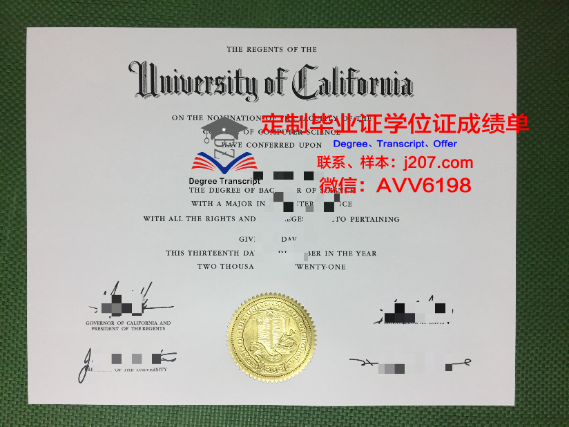 沃尔姆应用技术大学毕业证等级(沃尔姆培训学校)
