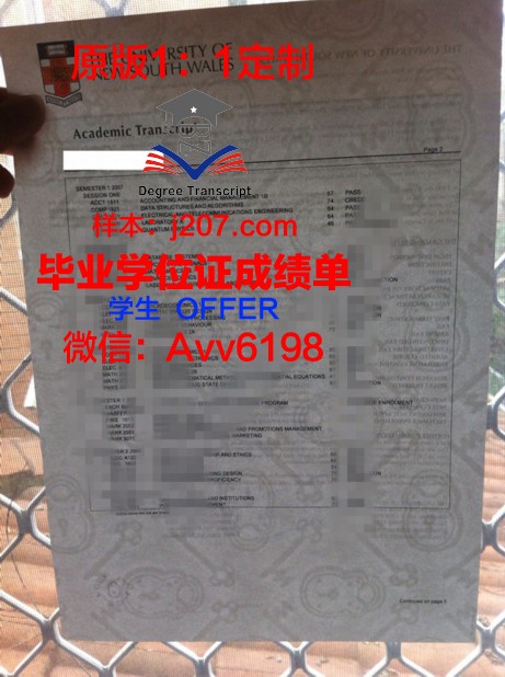 高等电子工程工程师学院毕业证书图片高清(电子高级工程师)