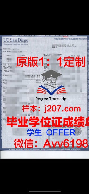 高盛学院成绩单：揭示金融巨头的教育投资成果