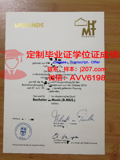 汉堡大学毕业文凭