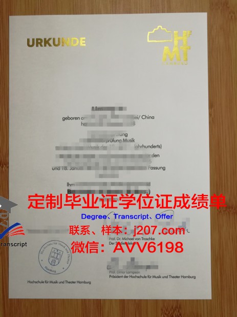 汉堡音乐与戏剧学院的毕业证啥样(汉堡电影学院)