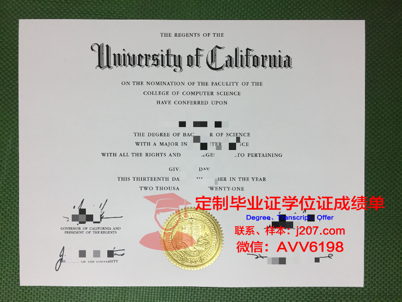 马萨里克大学毕业证Diploma文凭