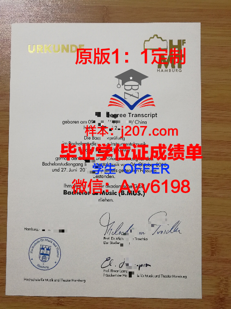 汉堡大学学历证书(汉堡大学的学生)