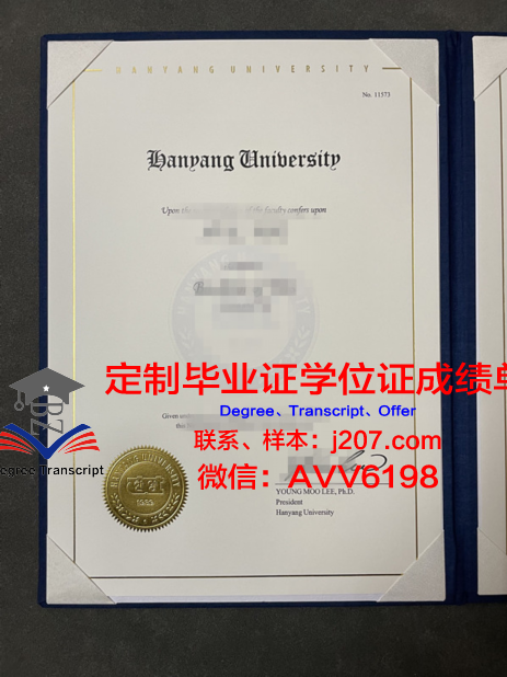 汉阳大学校园卡(汉口学院校园卡)