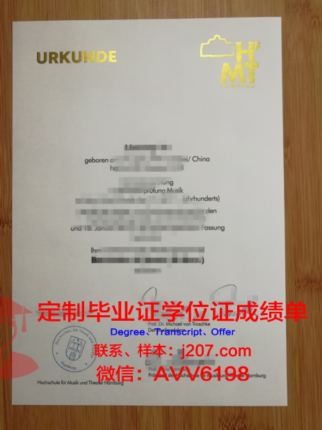汉堡造型艺术学院成绩单(汉堡艺术大学)