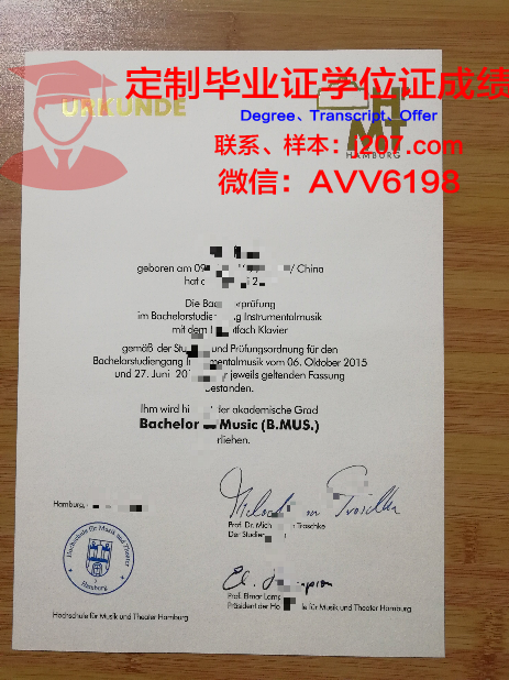 汉堡大学本科毕业证(汉堡大学入学条件)
