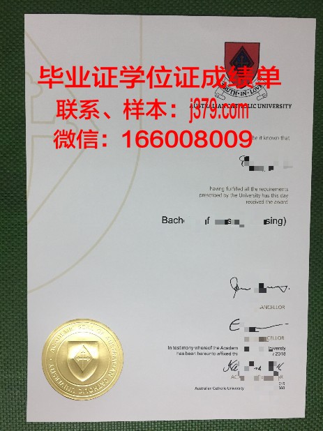 巴拉那天主教大学研究生毕业证书