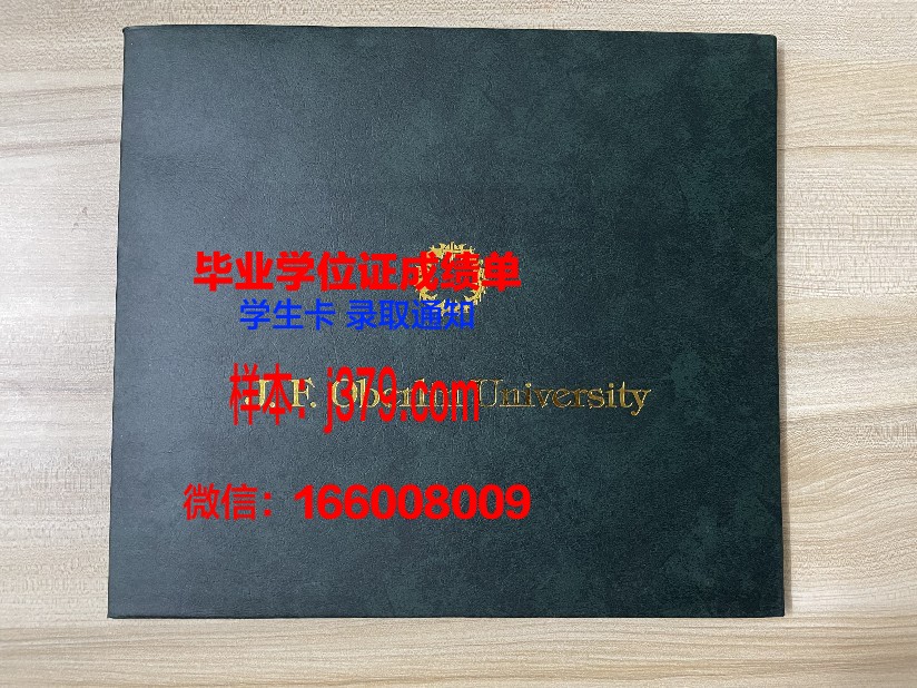巴黎东部马恩-拉瓦雷大学工程师学院毕业证封面(马恩拉瓦雷大学排名)