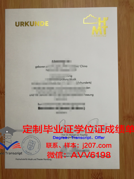 汉堡港口城市大学证书成绩单(汉堡港口城市大学怎么样)