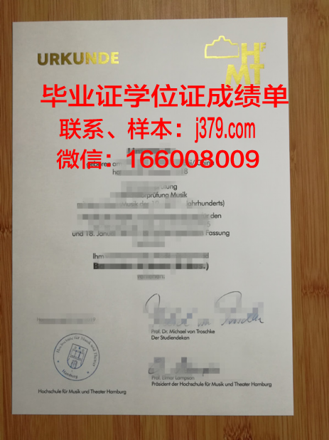 汉堡造型艺术学院毕业证真伪(汉堡造型图片)