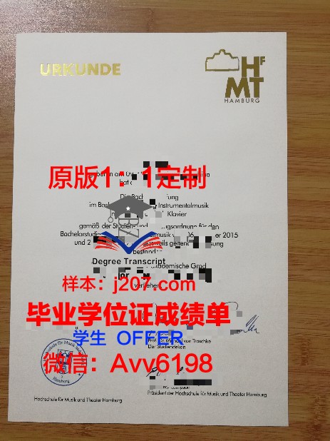 汉堡大学毕业证图片(汉堡大学好毕业吗)