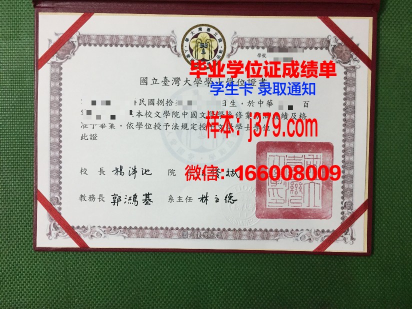 秋明国立大学毕业证书图片模板(秋明大学留学一年多少人民币)