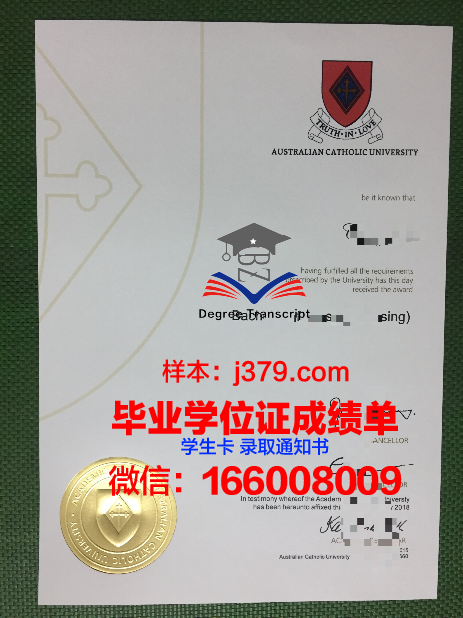 巴拉那天主教大学毕业证书