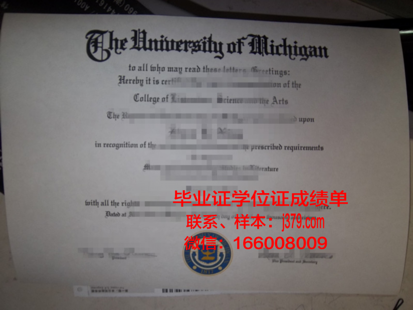 碧瑶大学毕业证:承载知识与梦想的荣耀