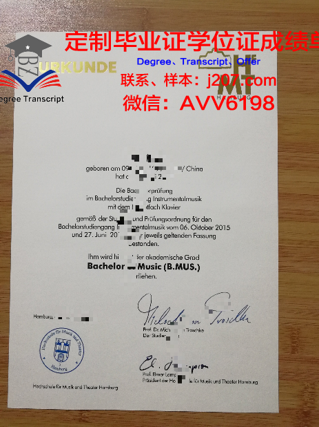 汉堡大学毕业证真伪(汉堡大学申请流程)