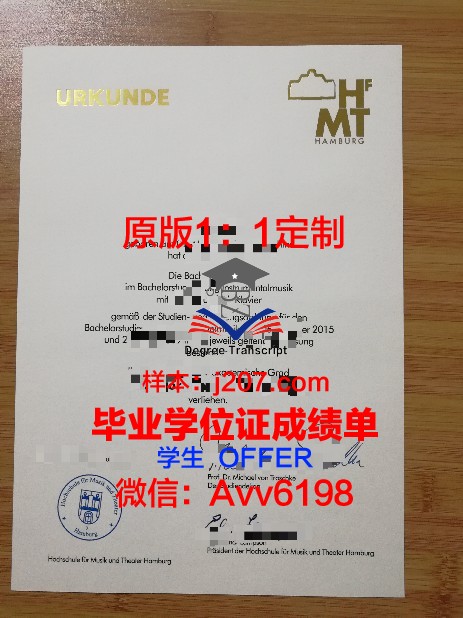 汉堡大学本科毕业证(汉堡大学入学条件)