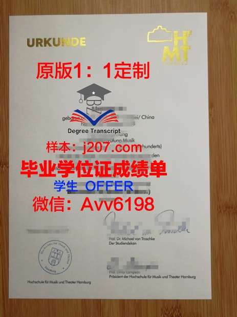 汉堡港口城市大学毕业证定制:承载荣誉与梦想的精致艺术品