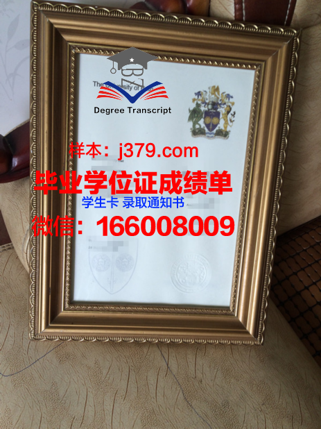 巴斯思巴大学硕士毕业证：开启未来职业生涯的钥匙