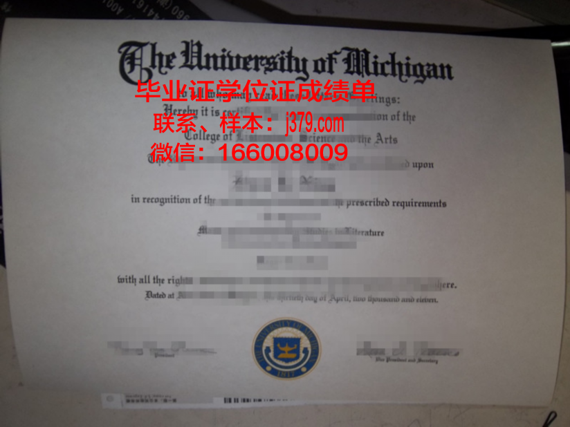 巴拉那大学本科毕业证：跨越国界的学术成就