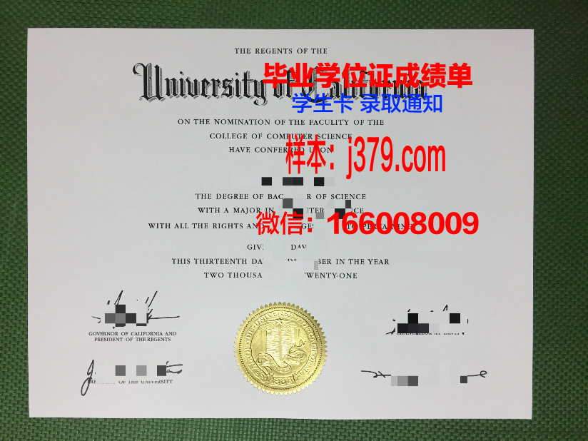 巴拉西达萨恩大学毕业证成绩单:一份承载荣誉与梦想的证明