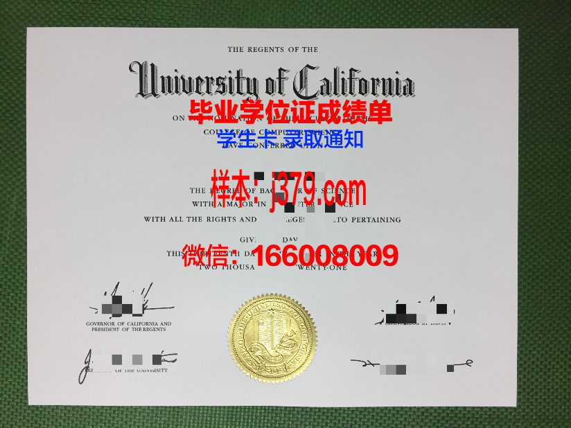 巴拉那大学本科毕业证：跨越国界的学术成就
