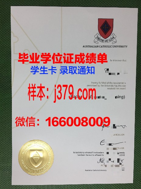 巴拉那天主教大学硕士毕业证：一份跨越国界的学术荣耀